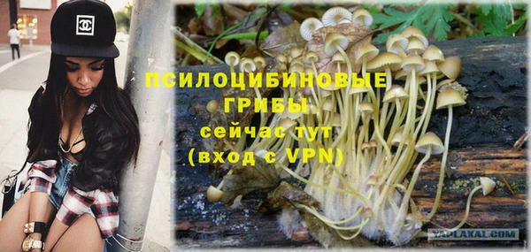 Альфа ПВП Алзамай