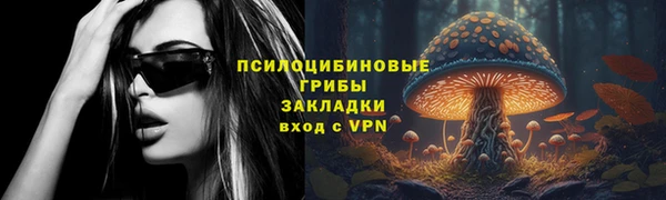 Альфа ПВП Алзамай