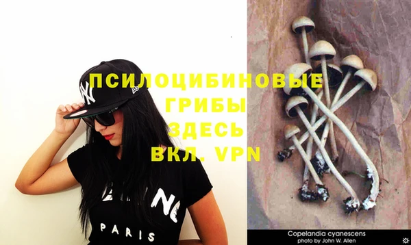ешки Алексеевка